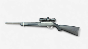 Used Ruger 10/22